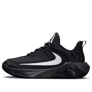 Кроссовки giannis immortality 4 'black white' Nike, черный