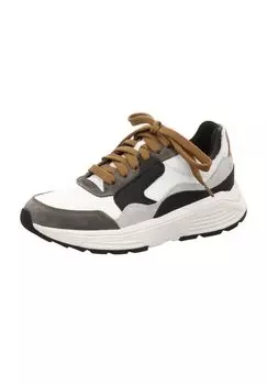 Кроссовки Golden Gate Lady Xsensible