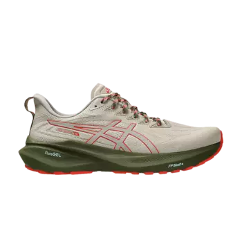 Кроссовки GT 2000 13 TR 'Nature Bathing - Red Snapper', серый