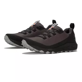 Кроссовки Haglofs Haglfs L.I.M FH Low, серый