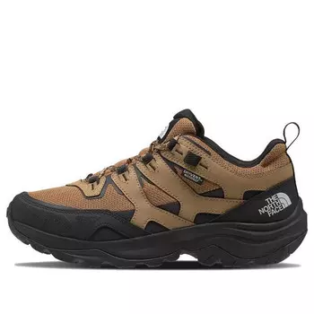 Кроссовки hedgehog iii waterproof hiking shoes 'utility brown tnf black' The North Face, коричневый