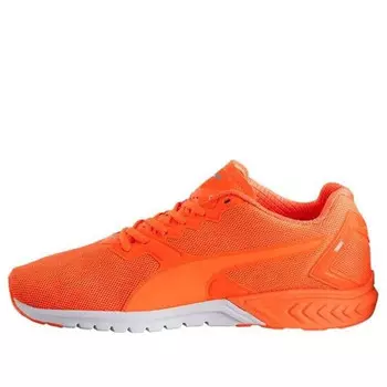 Кроссовки ignite dual nightcat low cut running shoes orange Puma, оранжевый