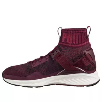 Кроссовки ignite evoknit 'dark red cmft' Puma, красный