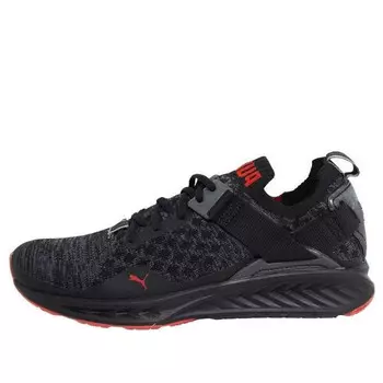 Кроссовки ignite evoknit lo 'pavement black' Puma, черный