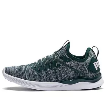 Кроссовки ignite flash evoknit 'gray green white' Puma, серый