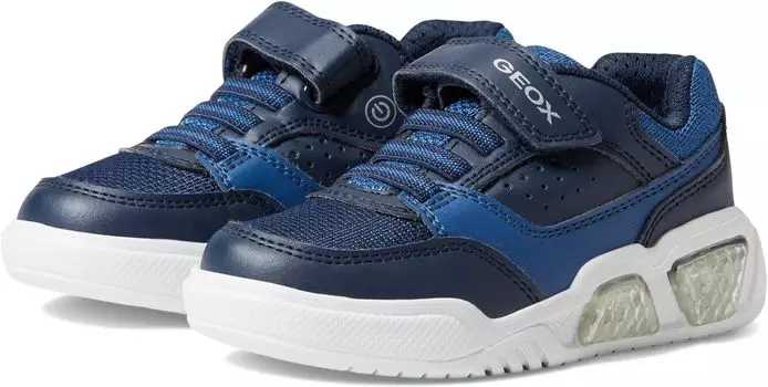 Кроссовки Illuminus 1 Geox, цвет Navy/Avio