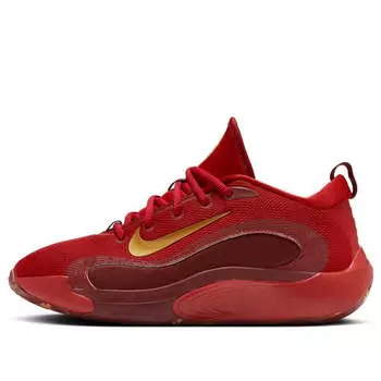 Кроссовки isofly 'gym red team red gold' Nike, красный