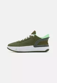 Кроссовки JORDAN DAY1 E.O. UNISEX Jordan, зеленый