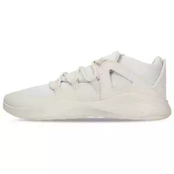 Кроссовки Jordan Formula 23 Low Light Bone, белый