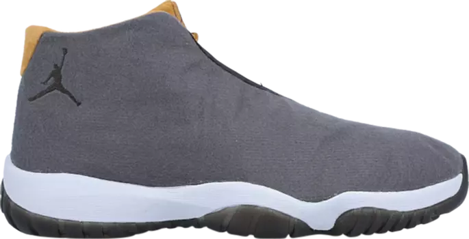Кроссовки Jordan Future Grey Wheat, серый