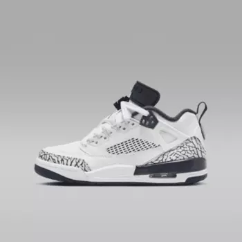 Кроссовки Jordan Spizike Low, цвет White/Pure Platinum/Obsidian