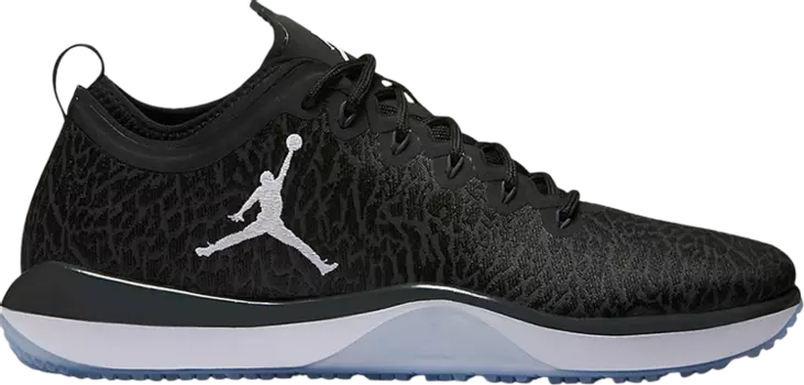 Кроссовки Jordan Trainer 1 Low Anthracite, серый