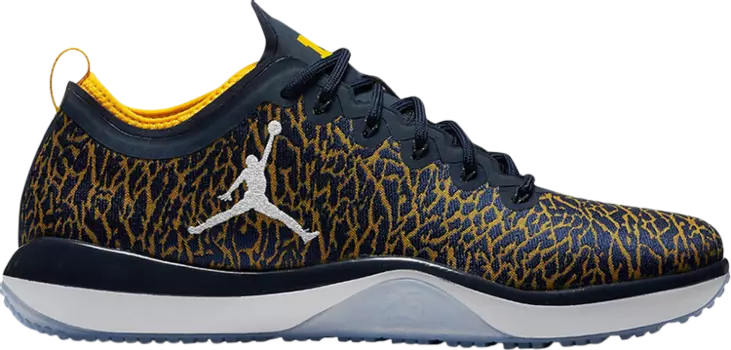 Кроссовки Jordan Trainer 1 Low Michigan, синий