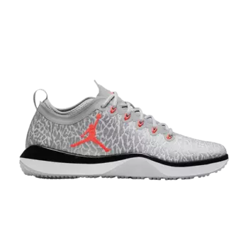 Кроссовки Jordan Trainer 1 Low 'Wolf Grey', серый
