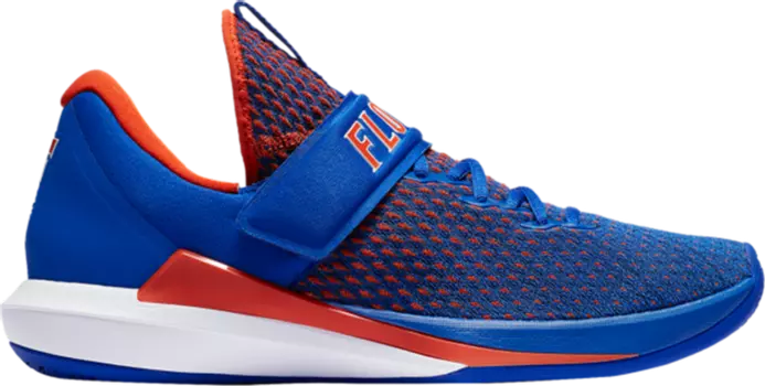 Кроссовки Jordan Trainer 3 Florida Gators, синий