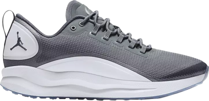 Кроссовки Jordan Zoom Tenacity Cool Grey, серый