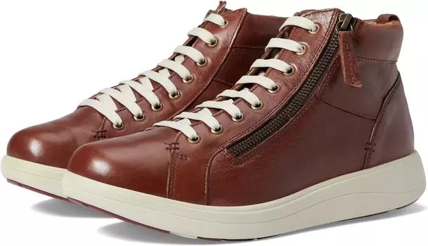 Кроссовки Kensington Strive, цвет Dark Tan