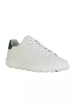 Кроссовки кожаные мужские GEOX, цвет Wht Green