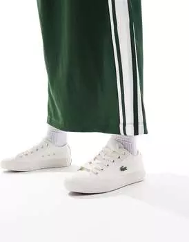 Кроссовки Lacoste Backcourt 124 1 CFA из камня
