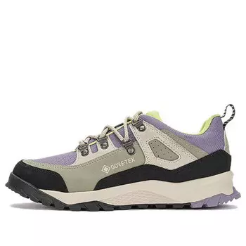 Кроссовки lincoln peak low lace up waterproof hiking boots 'medium purple mesh' Timberland, фиолетовый