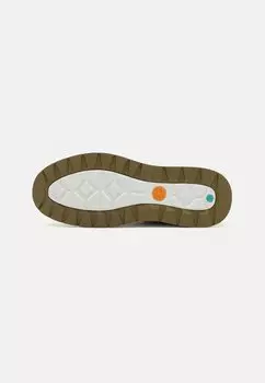 Кроссовки MAPLE GROVE MID Timberland, зеленый