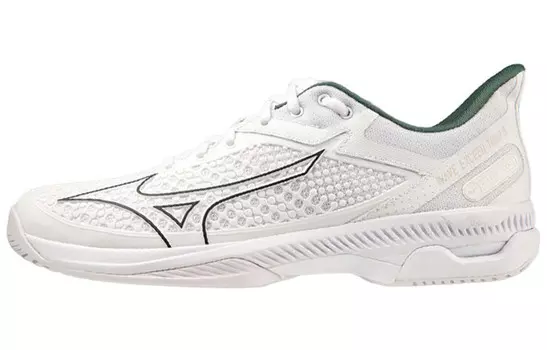 Кроссовки Mizuno Wave Exceed Tour 5 Tennis Shoes Men Low-top White, белый