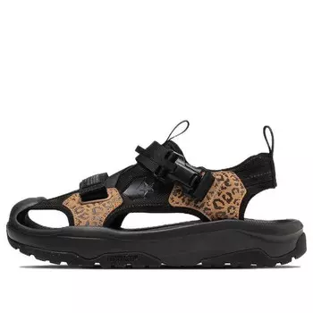 Кроссовки msd cp 'brown black' Converse, коричневый