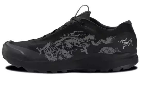 Кроссовки мужские Aerios Fl Low-Touch Grey Arcteryx