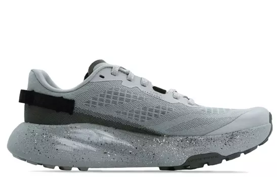 Кроссовки мужские Altamesa 300 с низким верхом серые The North Face