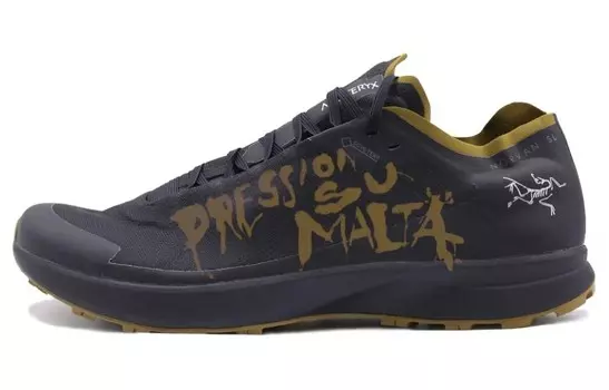 Кроссовки мужские Arcteryx Norvan SL Low-top, черный