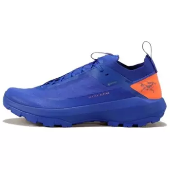 Кроссовки мужские Arcteryx Vertex Alpine, синий