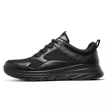 Кроссовки мужские Lifestyle Shoes Men Low-Top Black Cartelo