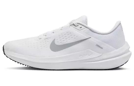 Кроссовки мужские Nike Air Winflo 10