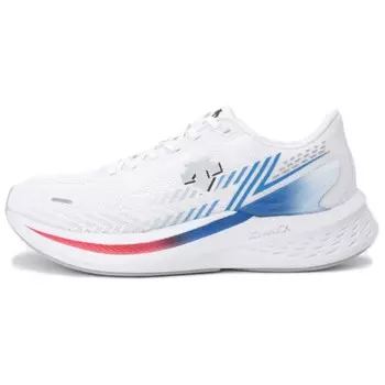 Кроссовки мужские низкие белые/синие Descente