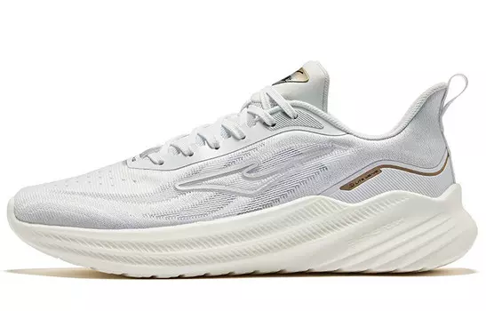 Кроссовки мужские низкие белый Erke