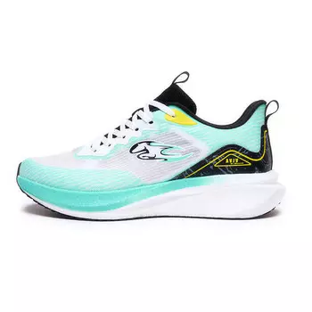 Кроссовки мужские низкие черные Avjv