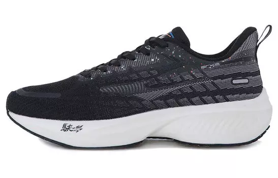 Кроссовки мужские низкие черный Erke