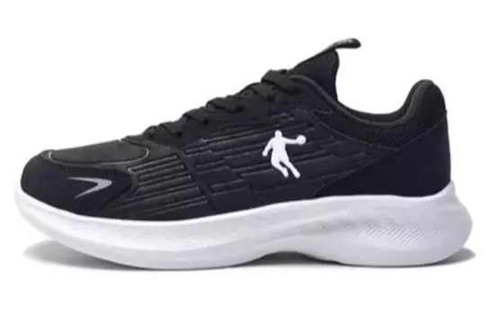 Кроссовки мужские низкие черный Qiaodan