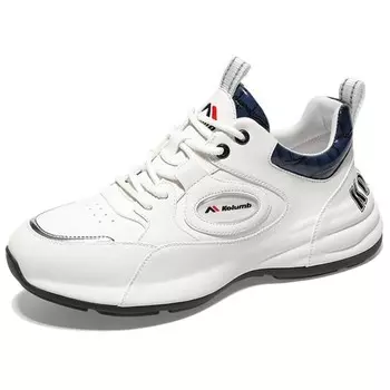 Кроссовки мужские низкие синий Kolumb