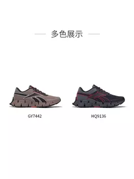 Кроссовки мужские Reebok Zig Dynamica 2 AdVenture