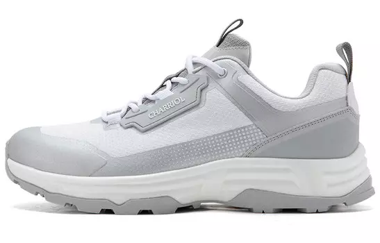 Кроссовки мужские с низким верхом серебряный Charriol, серебряный