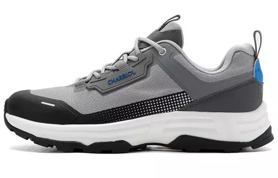 Кроссовки мужские с низким верхом светло-серый Charriol