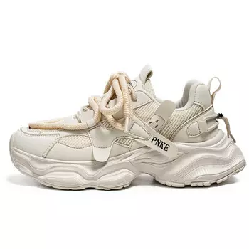 Кроссовки мужские толстые низкие Pnke, серый