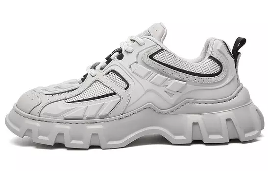 Кроссовки мужские толстые низкие серые Anthony Miles