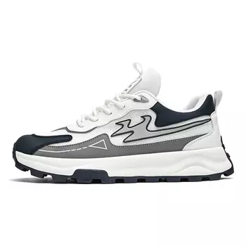 Кроссовки мужские толстые низкие серый Binary