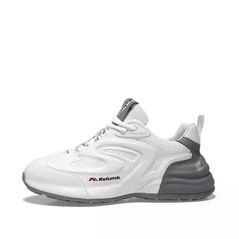 Кроссовки мужские толстые низкие серый Kolumb