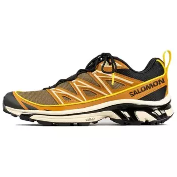 Кроссовки мужские XT-6 Expanse Cathay Spice Salomon, коричневый