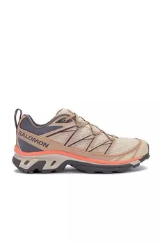 Кроссовки мужские XT-6 Expanse Seasonal Salomon, цвет Natural, Cement, & Plum Kitt