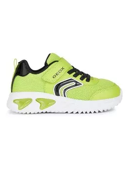 Кроссовки на шнуровке Geox Sneakers Lights - Assister, цвет Limette