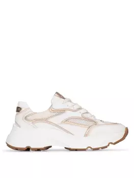 Кроссовки на шнуровке Haboob PS Poelman TOKIO Frauenturnschuhe